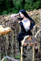 /album/book-4/a07-131011083b-jpg/