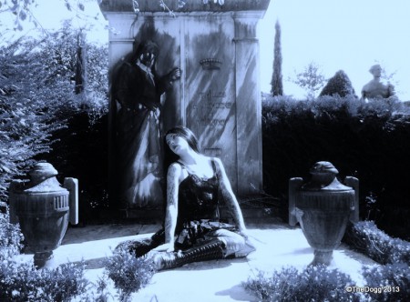  Copyright:TheDogg'2013 